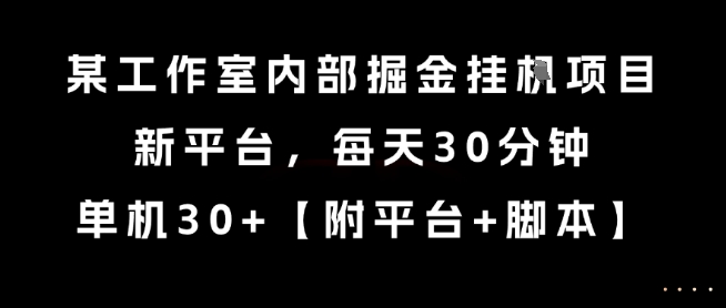 某工作室内部掘金挂G项目，新平台，每天30分钟，单机30+【揭秘】-赛德副业库