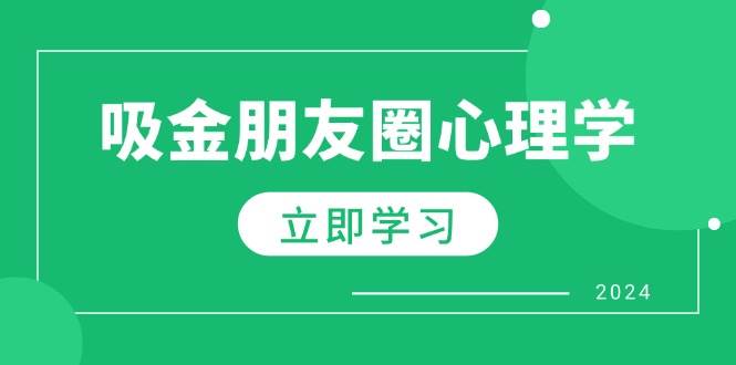 朋友圈吸金心理学：揭秘心理学原理，增加业绩，打造个人IP与行业权威-赛德副业库