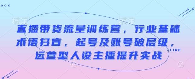 直播带货流量训练营，行业基础术语扫盲，起号及账号破层级，运营型人设主播提升实战-赛德副业库