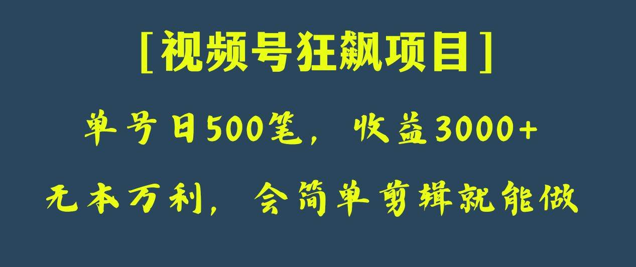 日收款500笔,纯利润3000+,视频号狂飙项目!-赛德副业库