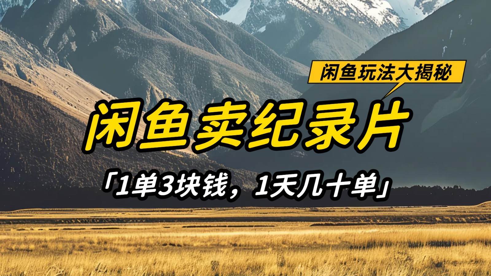 闲鱼卖纪录片,简单又赚钱的小项目,1单3块钱 1天几十单-赛德副业库