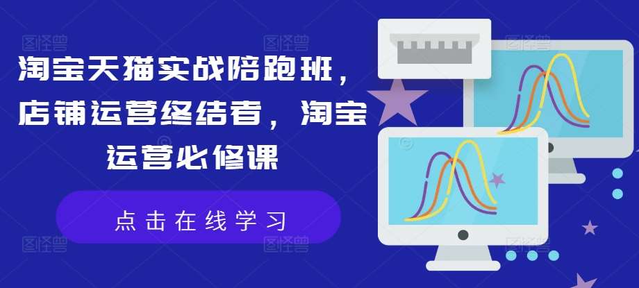 淘宝天猫实战陪跑班，店铺运营终结者，淘宝运营必修课-赛德副业库