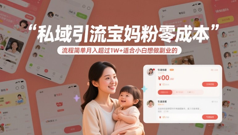 私域引流宝妈粉零成本流程简单月入超过1W+适合小白想做副业的-赛德副业库