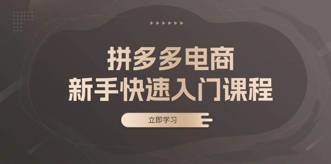 （13289期）拼多多电商新手快速入门课程：涵盖基础、实战与选款，助力小白轻松上手-赛德副业库