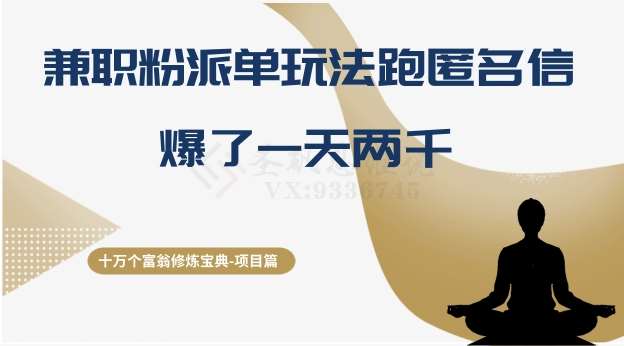 十万个富翁修炼宝典之6.兼职粉派单玩法跑匿名信,爆了一天两千-赛德副业库