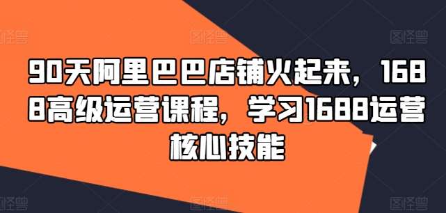 90天阿里巴巴店铺火起来，1688高级运营课程，学习1688运营核心技能-赛德副业库