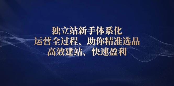 （13914期）独立站新手体系化 运营全过程，助你精准选品、高效建站、快速盈利-赛德副业库