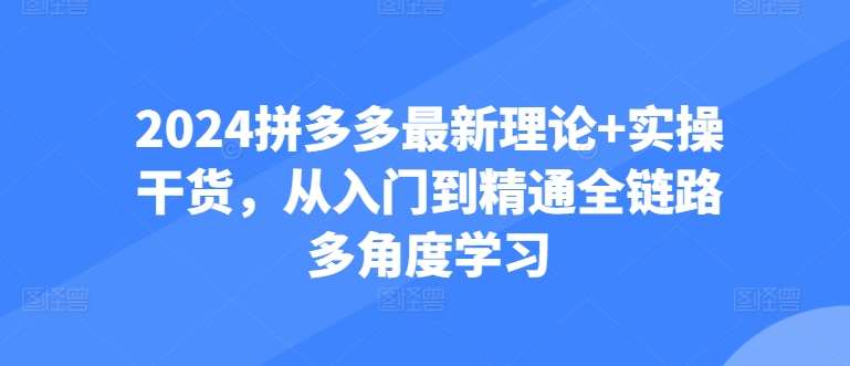 2024拼多多最新理论+实操干货，从入门到精通全链路多角度学习-赛德副业库