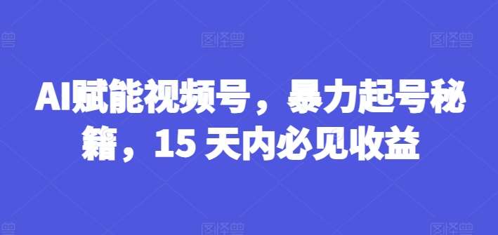 AI赋能视频号，暴力起号秘籍，15 天内必见收益【揭秘】-赛德副业库