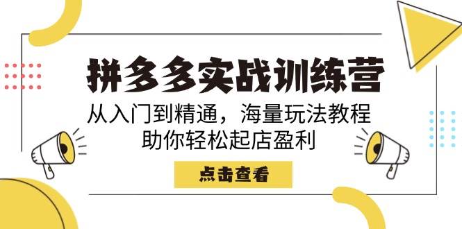 （14392期）拼多多实战训练营，从入门到精通，海量玩法教程，助你轻松起店盈利-赛德副业库