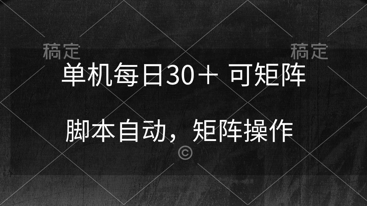 (10100期)单机每日30+ 可矩阵,脚本自动 稳定躺赚-赛德副业库