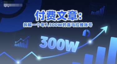 付费文章：拆解一个年入300W的喜马拉雅账号-赛德副业库