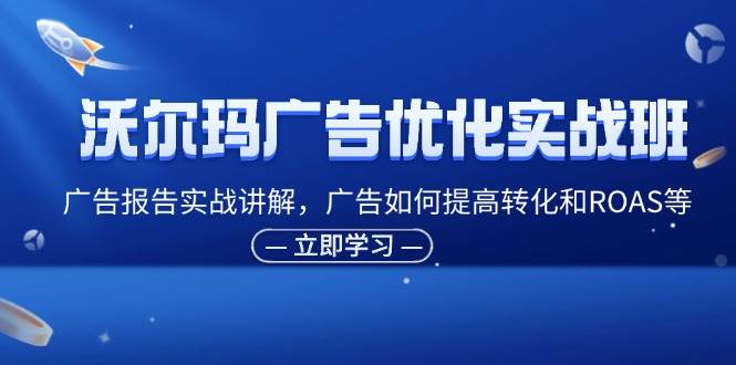 （11847期）沃尔玛广告优化实战班，广告报告实战讲解，广告如何提高转化和ROAS等-赛德副业库