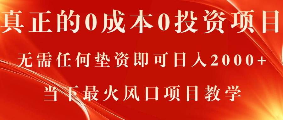 （11387期）真正的0成本0投资项目，无需任何垫资即可日入2000+，当下最火风口项目教学-赛德副业库