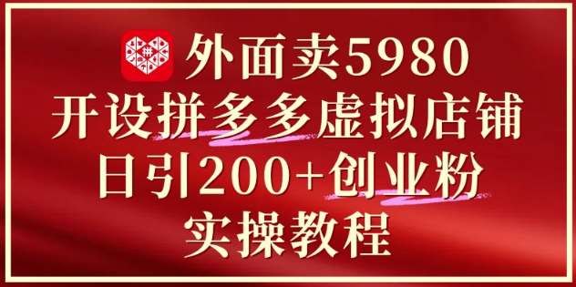 外面卖5980开设拼多多虚拟店铺：单日引流200+创业付费粉实战教程-赛德副业库