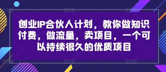 创业IP合伙人计划，教你做知识付费，做流量，卖项目，一个可以持续很久的优质项目-赛德副业库