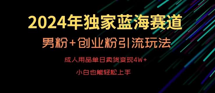 2024年独家蓝海赛道，成人用品单日卖货变现4W+，男粉+创业粉引流玩法，不愁搞不到流量【揭秘】-赛德副业库