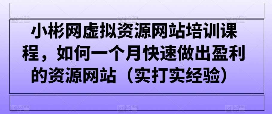 小彬网虚拟资源网站培训课程，如何一个月快速做出盈利的资源网站（实打实经验）-赛德副业库
