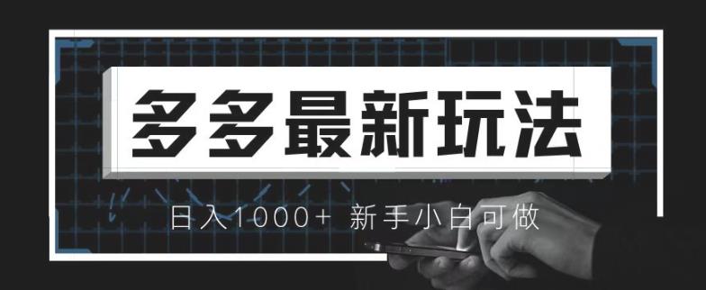 价值4980的拼多多最新玩法，月入3w【新手小白必备项目】【揭秘】-赛德副业库