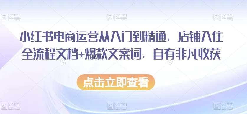 小红书电商运营从入门到精通，店铺入住全流程文档+爆款文案词，自有非凡收获-赛德副业库