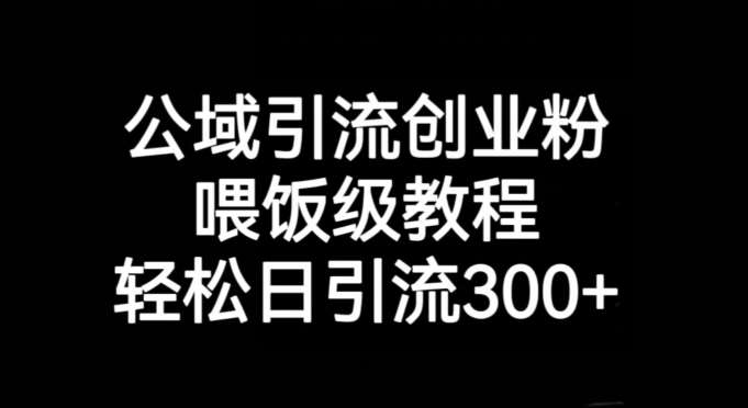 公域引流创业粉，喂饭级教程，轻松日引流300+【揭秘】-赛德副业库