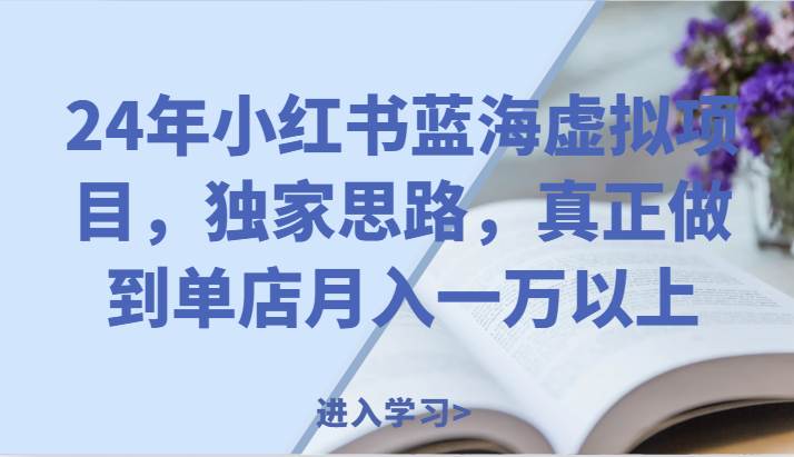 24年小红书蓝海虚拟项目，独家思路，真正做到单店月入一万以上。-赛德副业库