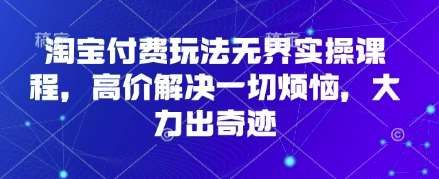 淘宝付费玩法无界实操课程，高价解决一切烦恼，大力出奇迹-赛德副业库
