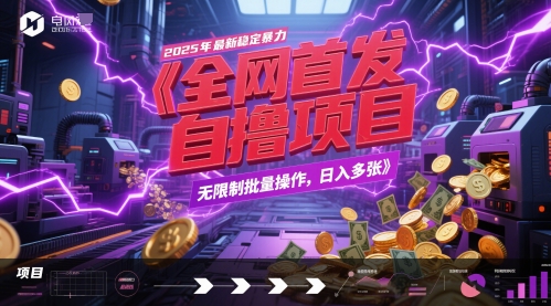 全网首发，2025年最新稳定暴力全自动自撸项目，无限制批量操作，日入多张【揭秘】-赛德副业库