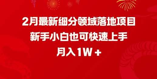 2月最新细分领域落地项目，新手小白也可快速上手，月入1W-赛德副业库