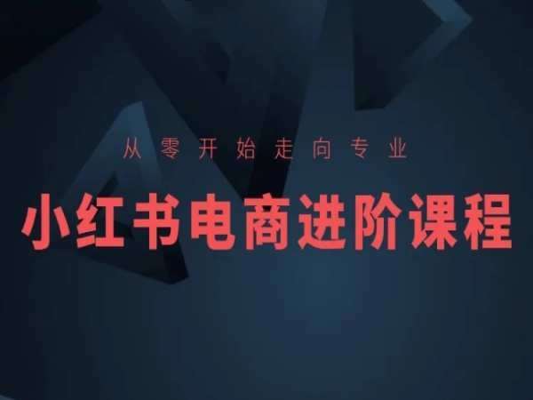 从零开始走向专业,小红书电商进阶课程-赛德副业库