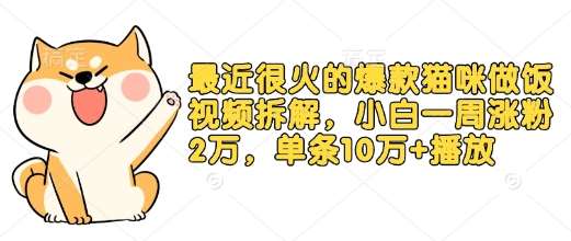 最近很火的爆款猫咪做饭视频拆解,小白一周涨粉2万,单条10万+播放(附保姆级教程)-赛德副业库