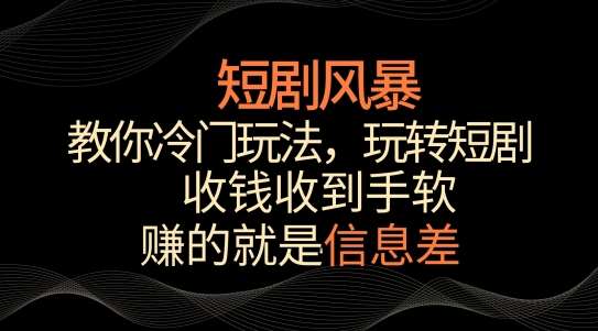 短剧风暴，教你冷门玩法，玩转短剧，收钱收到手软【揭秘】-赛德副业库