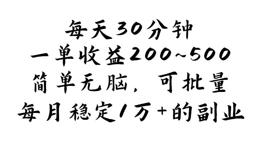 (11764期)每天30分钟,一单收益200~500,简单无脑,可批量放大,每月稳定1万+的…-赛德副业库