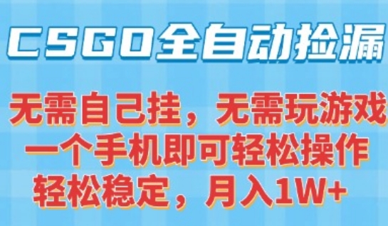 CSGO自动捡漏项目,最新独家玩法,一个手机可操作,新手小白轻松月入1W+,操作简单易上手【揭秘】-赛德副业库