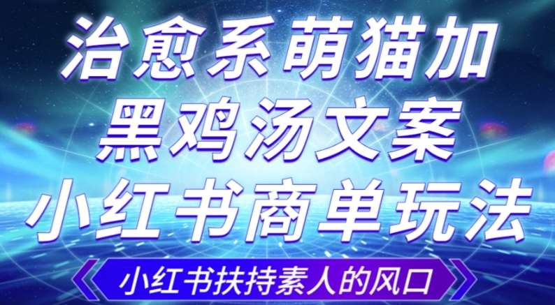 治愈系萌猫加+黑鸡汤文案，小红书商单玩法，3~10天涨到1000粉，一单200左右-赛德副业库