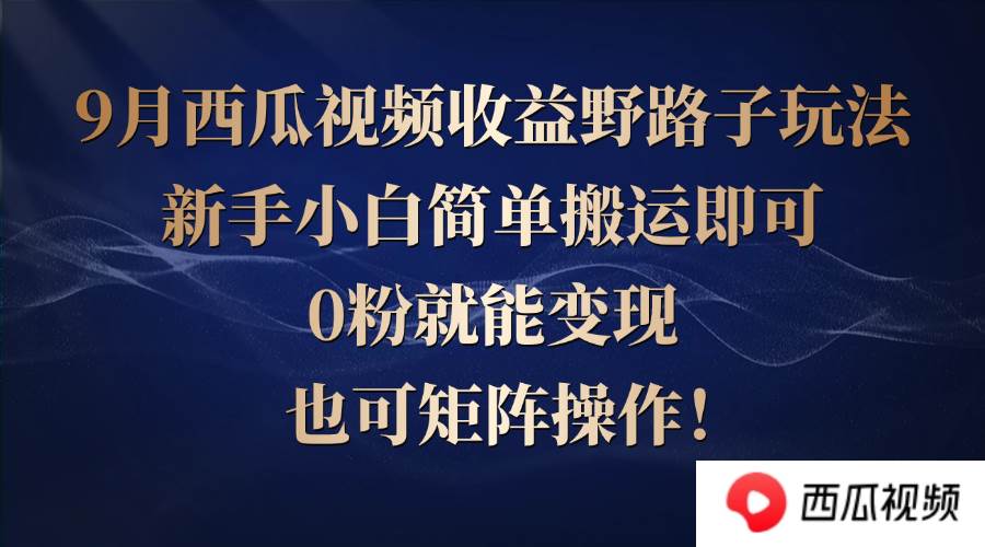（12760期）西瓜视频收益野路子玩法，新手小白简单搬运即可，0粉就能变现，也可矩…-赛德副业库