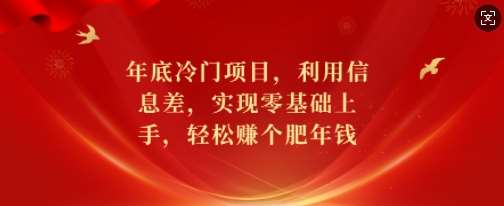 年底冷门项目，利用信息差，实现零基础上手，轻松赚个肥年钱【揭秘】-赛德副业库