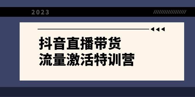（8185期）抖音直播带货-流量激活特训营，入行新手小白主播必学（21节课+资料）-赛德副业库