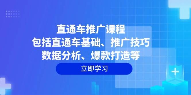 （14001期）直通车推广课程：包括直通车基础、推广技巧、数据分析、爆款打造等-赛德副业库