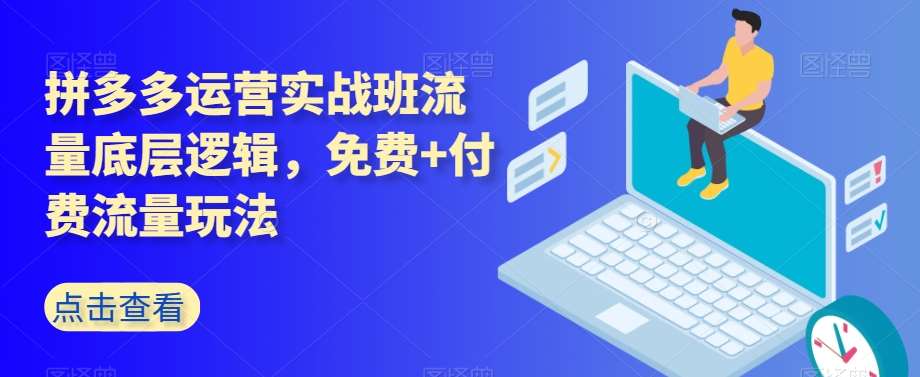 拼多多运营实战班流量底层逻辑，免费+付费流量玩法-赛德副业库