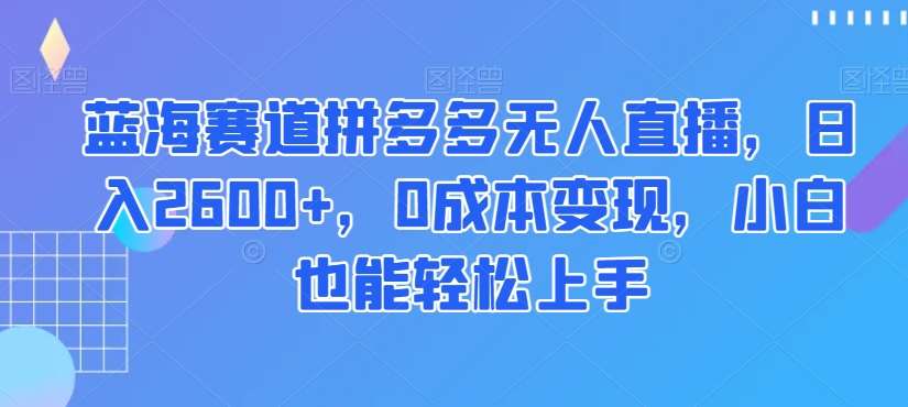 蓝海赛道拼多多无人直播，日入2600+，0成本变现，小白也能轻松上手【揭秘】-赛德副业库