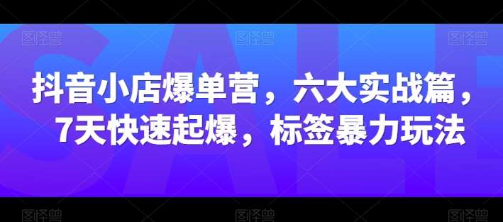 抖音小店爆单营，六大实战篇，7天快速起爆，标签暴力玩法-赛德副业库