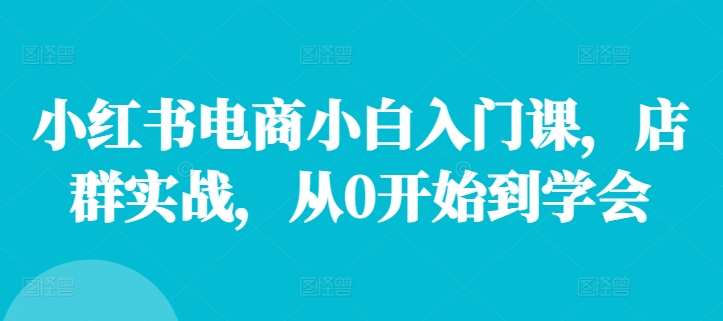 小红书电商小白入门课，店群实战，从0开始到学会-赛德副业库