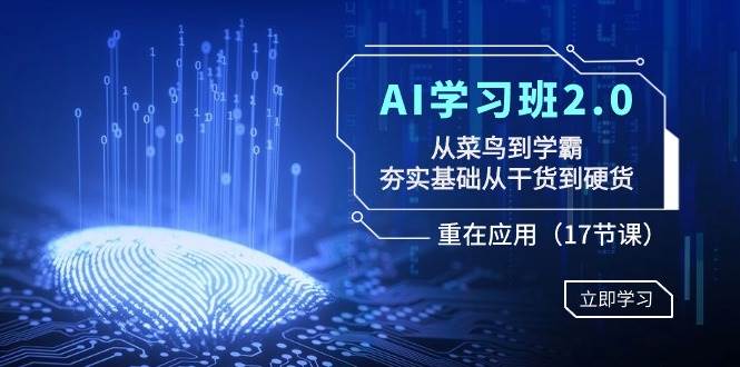 AI学习班2.0:从菜鸟到学霸,夯实基础从干货到硬货,重在应用(17节课)-赛德副业库
