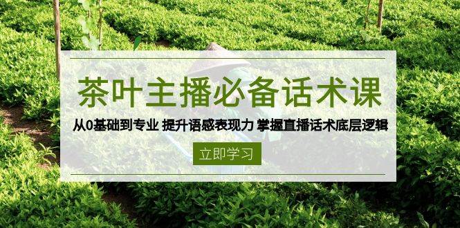 （13961期）茶叶 主播必备话术课 从0基础到专业 提升语感表现力 掌握直播话术底层逻辑-赛德副业库