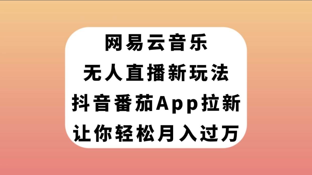（7599期）网易云音乐无人直播新玩法，抖音番茄APP拉新，让你轻松月入过万-赛德副业库