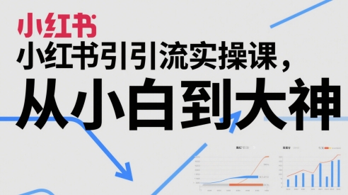 小红书引流实操课，从小白到大神-赛德副业库