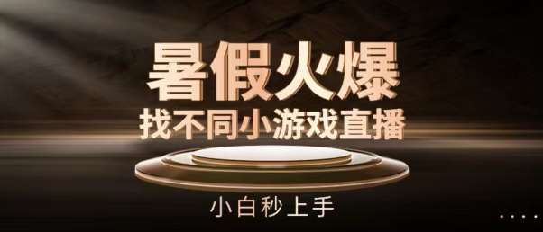 暑假火爆找不同小游戏直播间，小白秒上手【揭秘】-赛德副业库