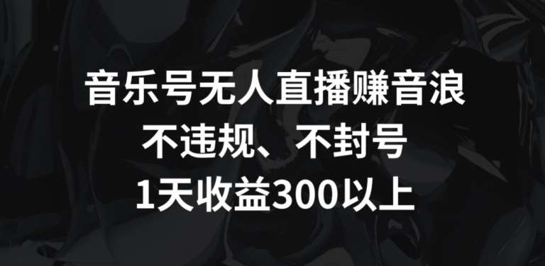 音乐号无人直播赚音浪,不违规、不封号,1天收益300+【揭秘】-赛德副业库