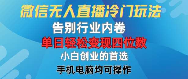 微信无人直播冷门玩法,告别行业内卷,单日轻松变现四位数,小白的创业首选【揭秘】-赛德副业库